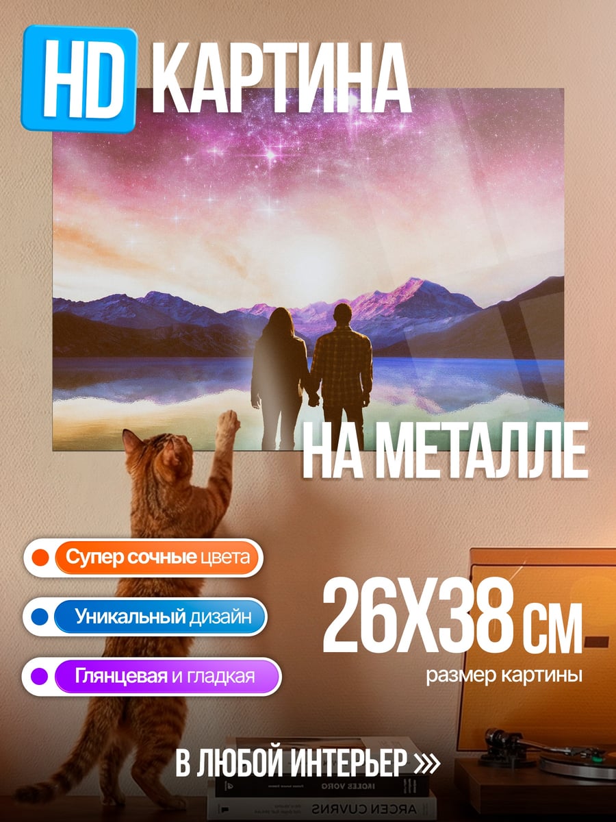 Картина на металле Пара смотрит на звезды