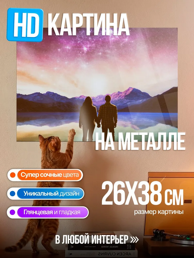 Картина на металле Пара смотрит на звезды