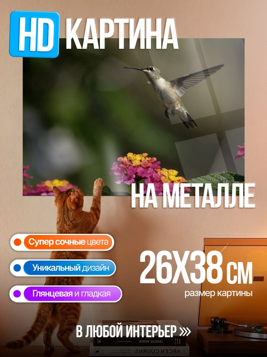 Картина на металле Колибри над цветами
