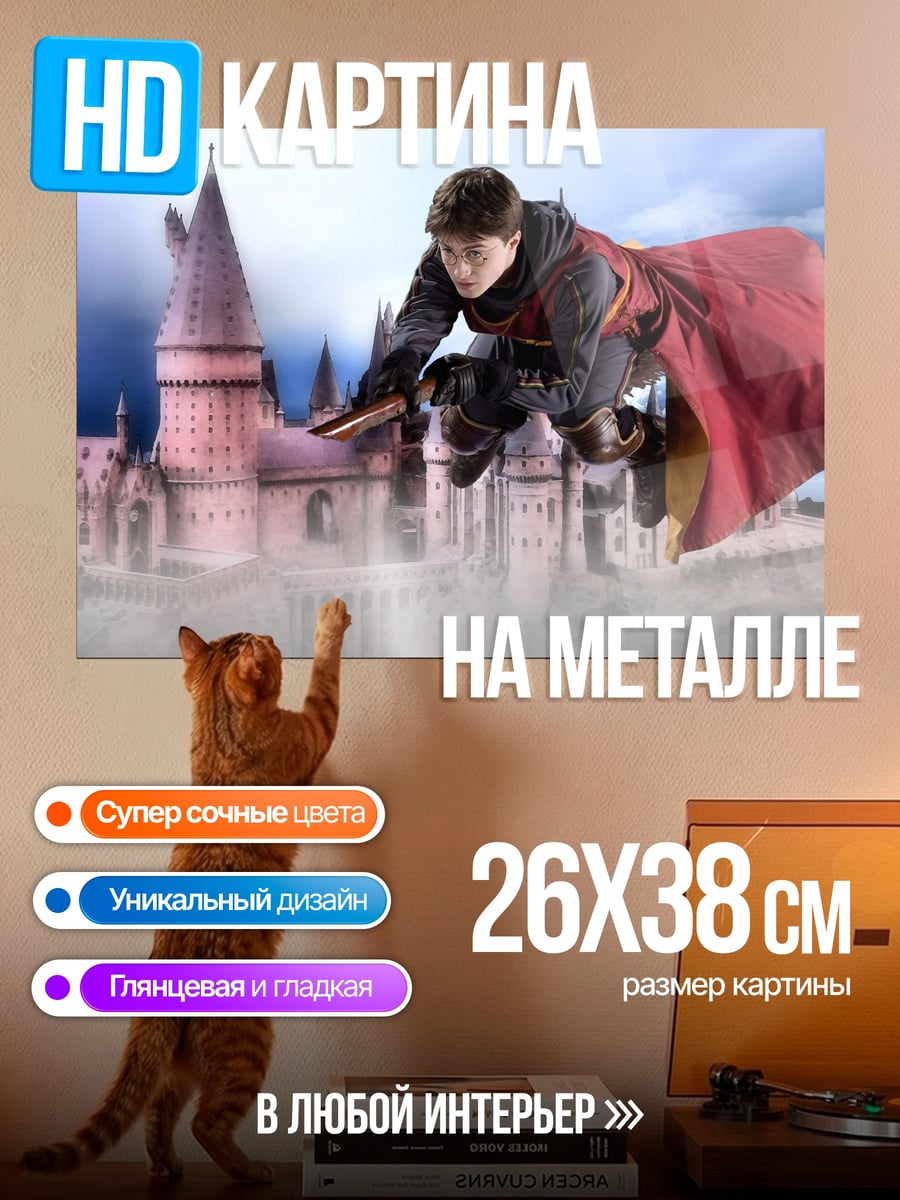 Картина на металле Хогвартс полеты