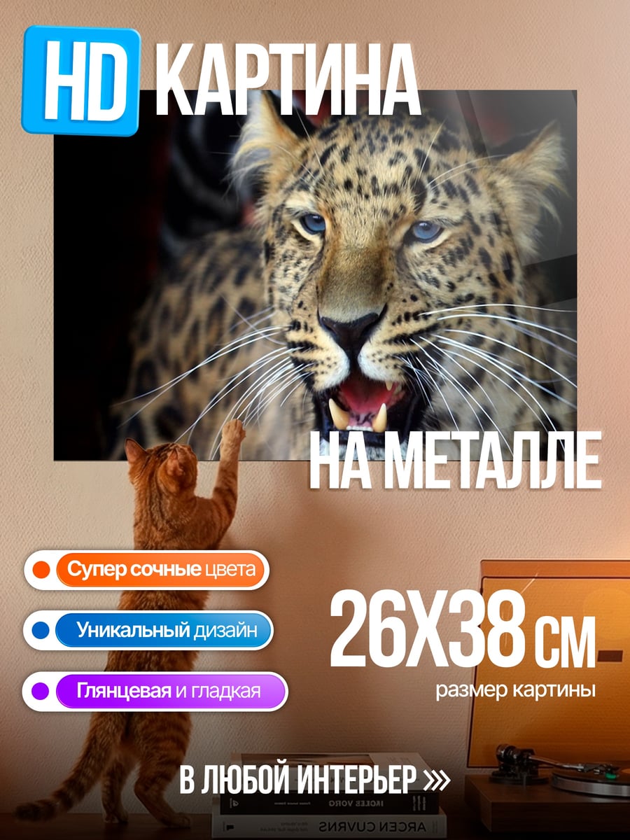 Картина на металле Леопард хищник