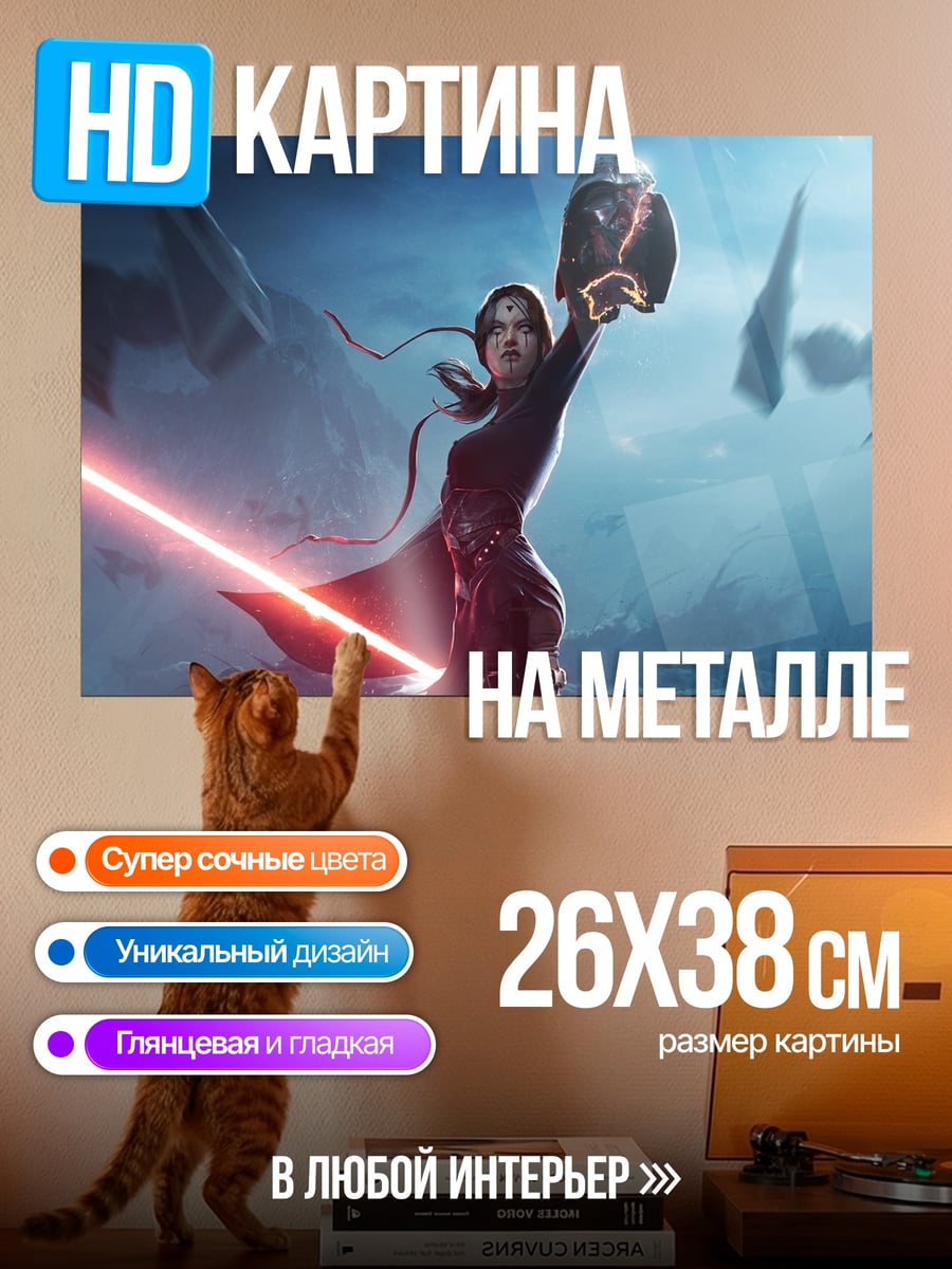 Картина на металле Рей против Кайло
