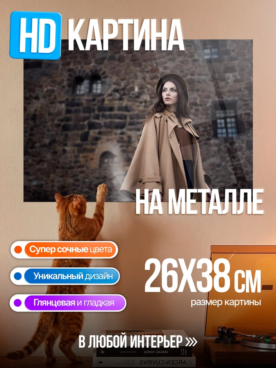 Картина на металле Девушка у замка