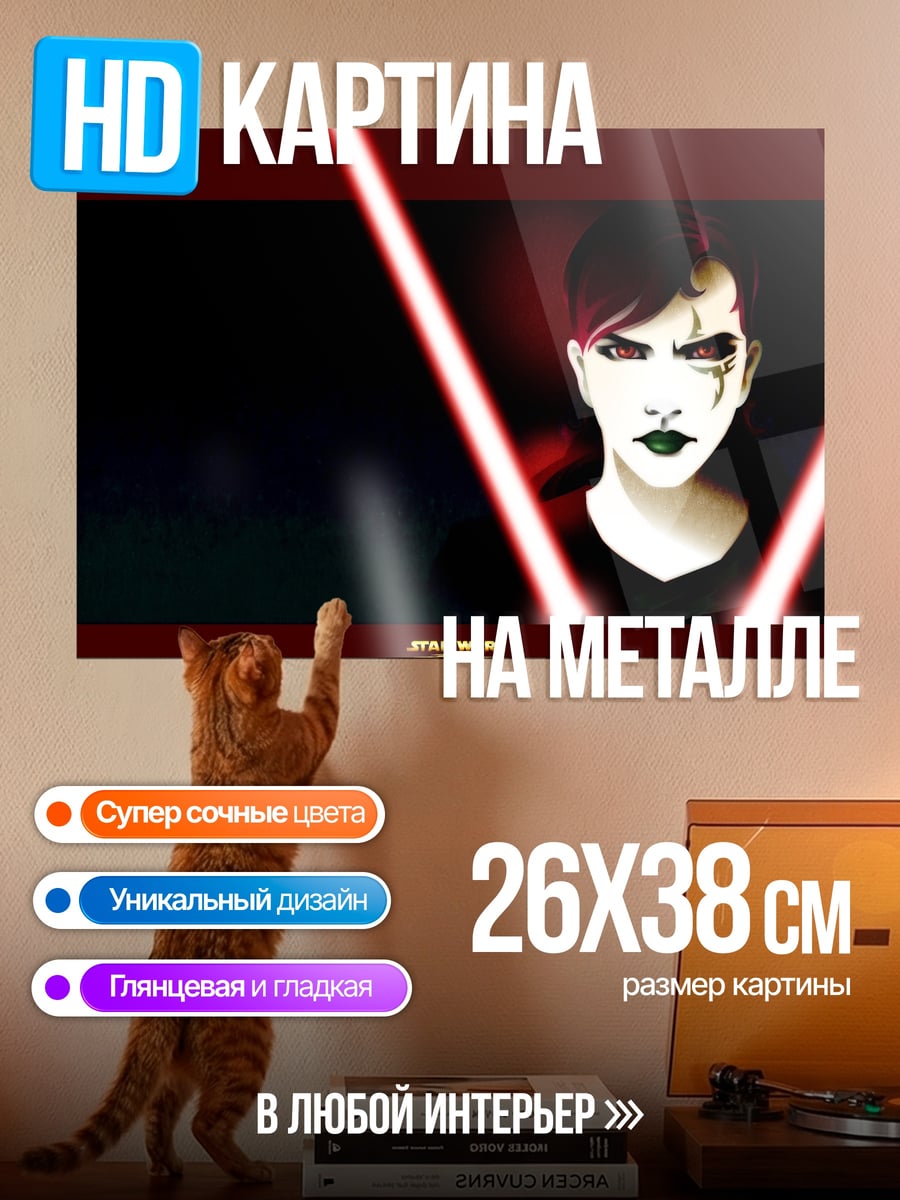 Картина на металле ситх