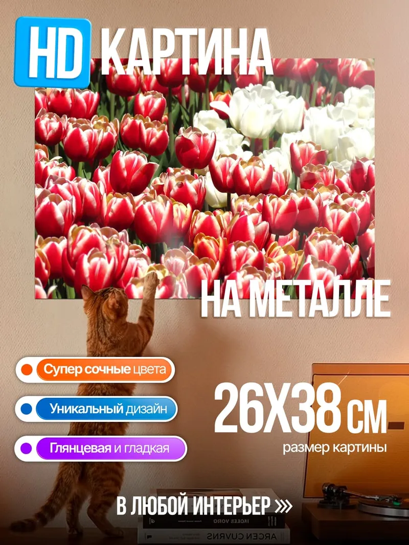Картина на металле Поле Тюльпанов