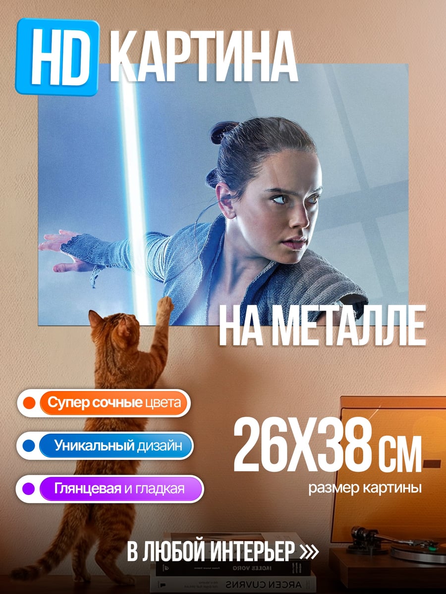 Картина на металле Рей Звездные Войны