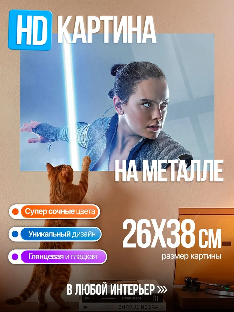 Картина на металле Рей Звездные Войны