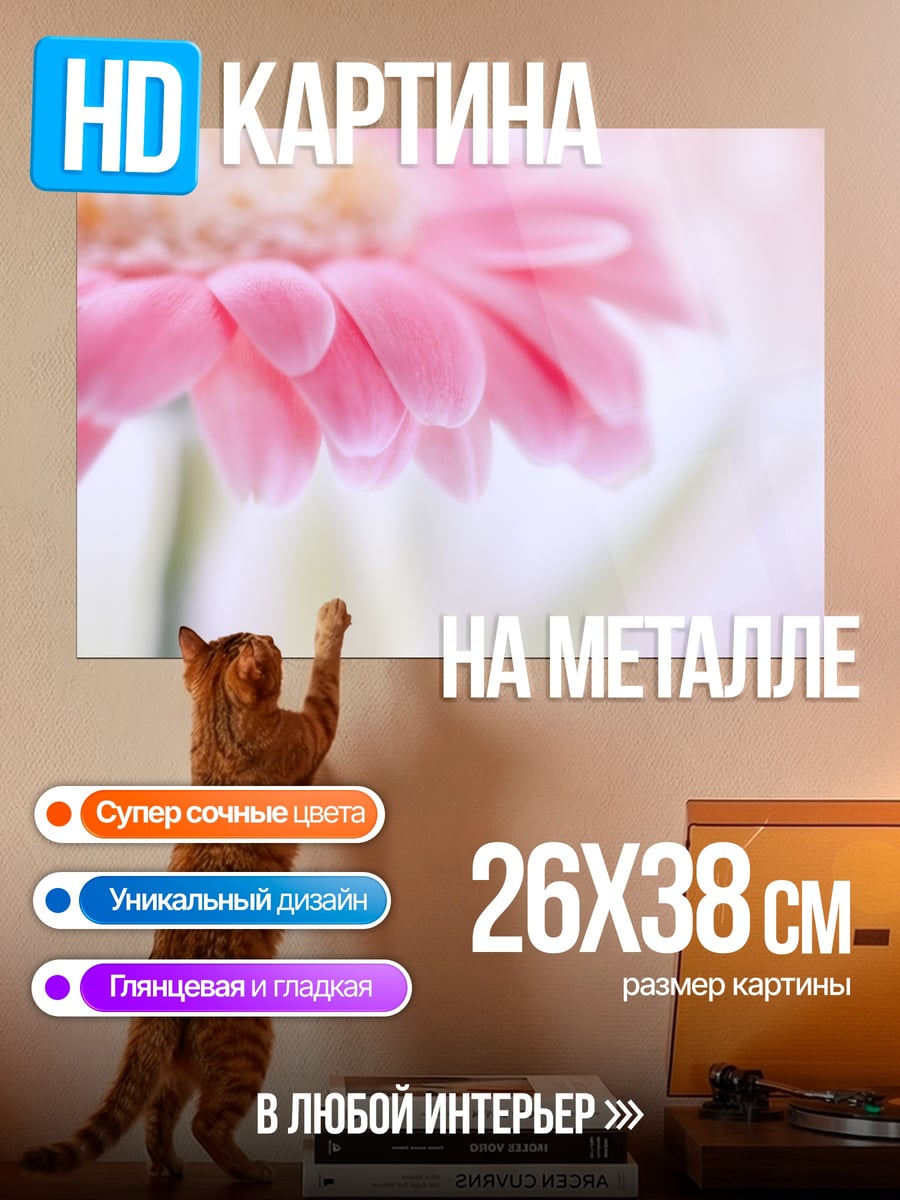 Картина на металле Нежная гербера