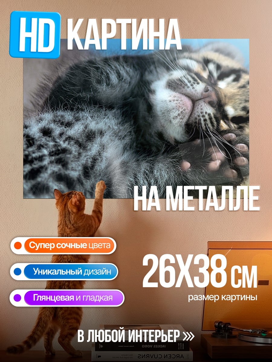 Картина на металле Леопард спит