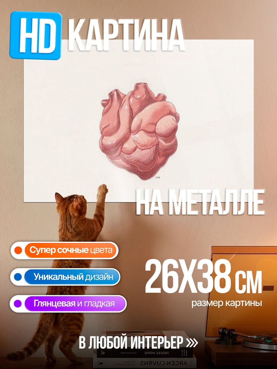 Картина на металле Анатомия сердца