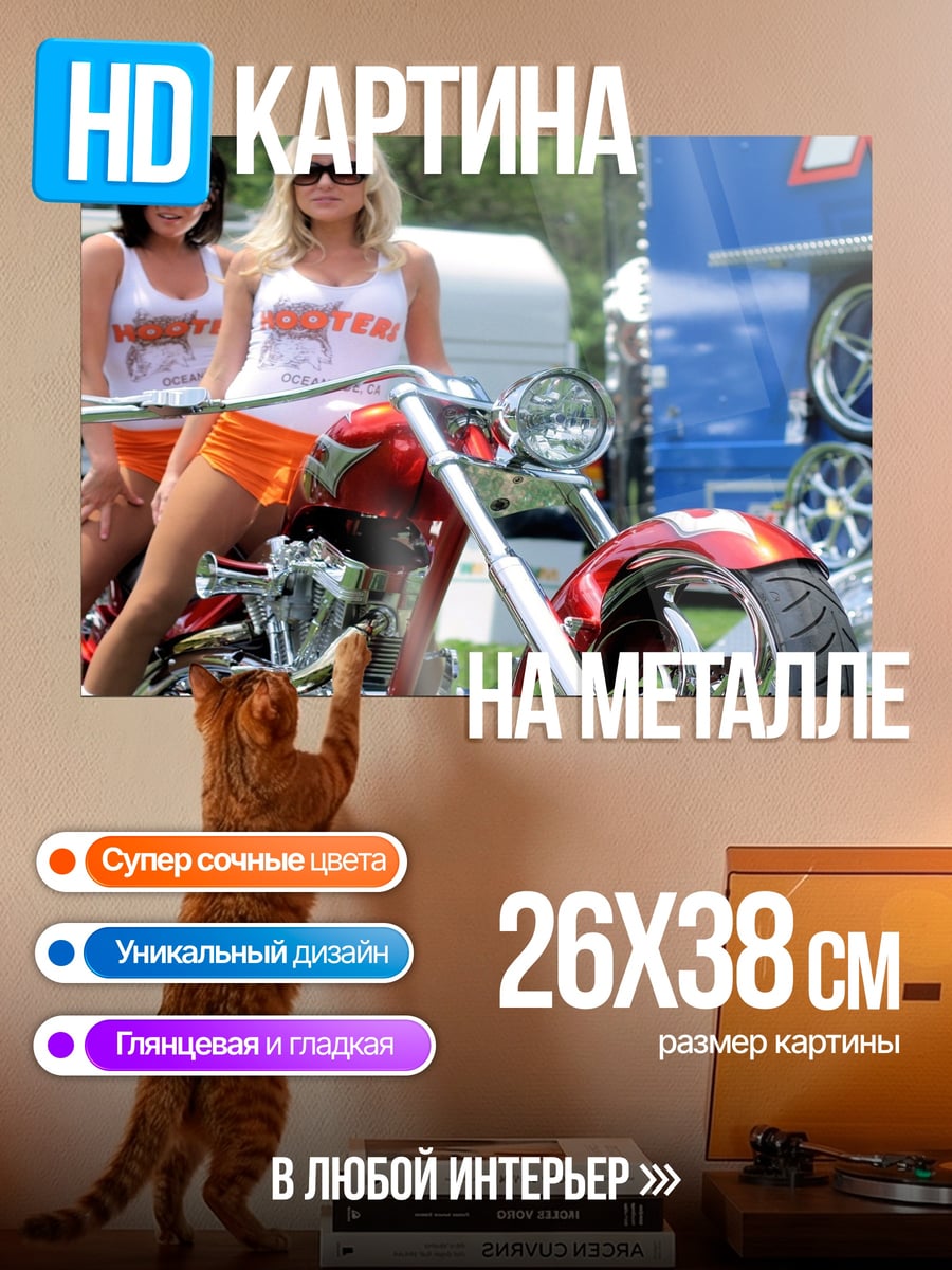 Картина на металле Девушки и мотоцикл