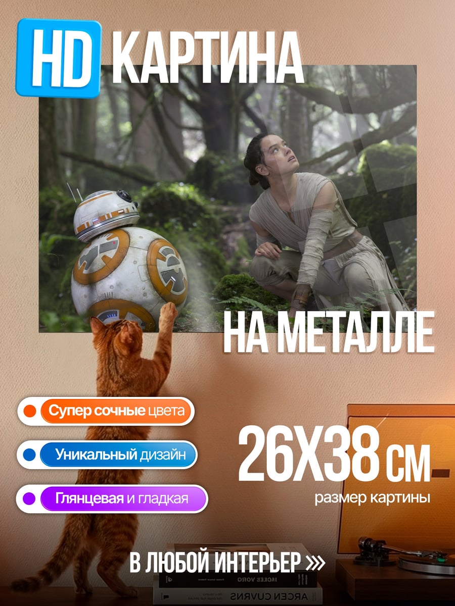 Картина на металле Рей и BB-8