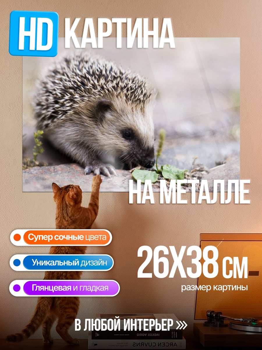 Картина на металле Ёжик на камнях