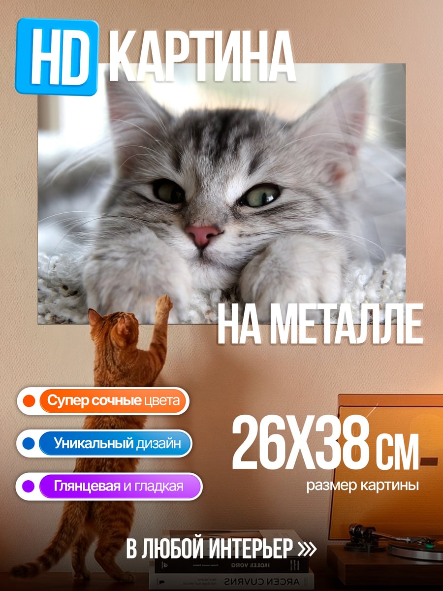 Картина на металле Пушистый кот лежит