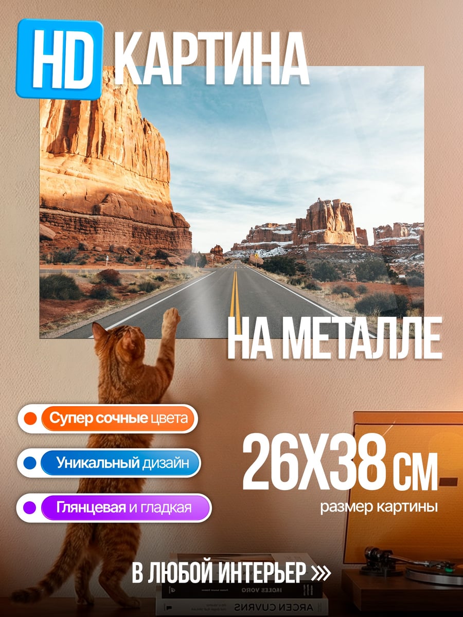 Картина на металле Пустынная дорога