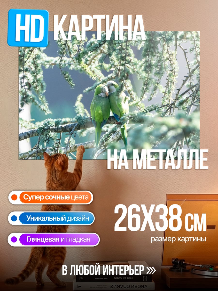 Картина на металле Пара попугаев