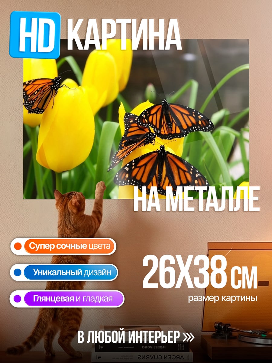 Картина на металле Бабочки на тюльпанах