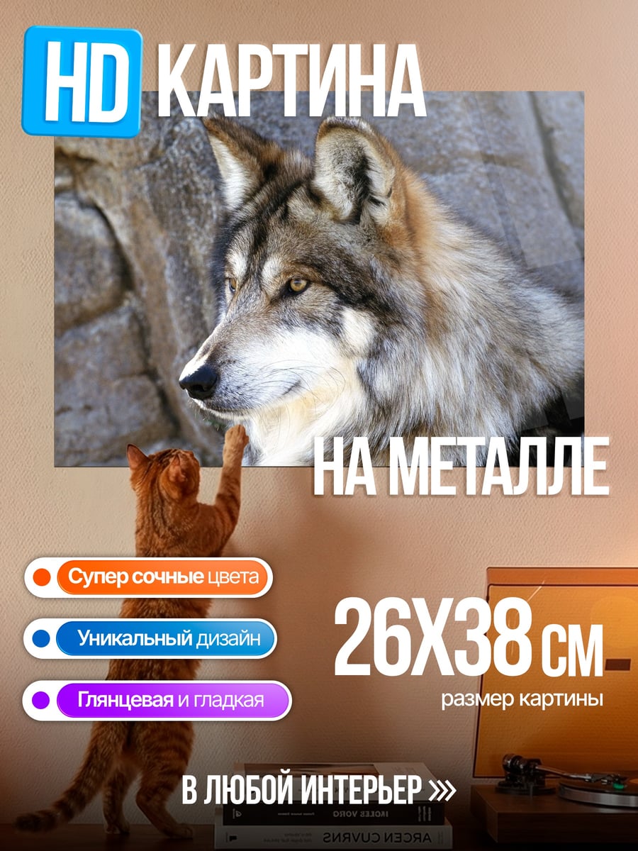 Картина на металле Волк у скалы