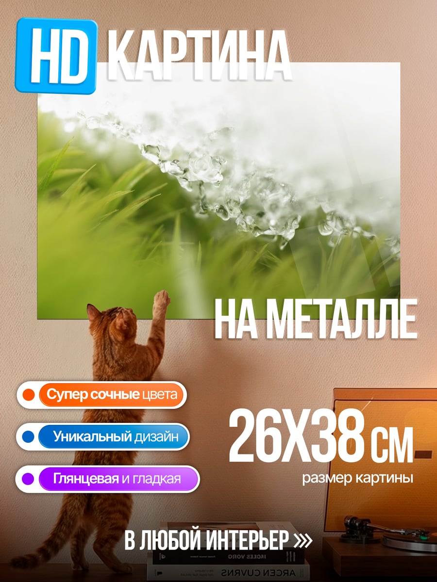 Картина на металле Капли воды на траве