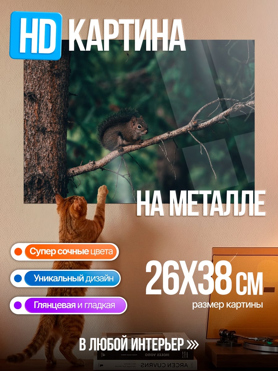 Картина на металле Белка на ветке
