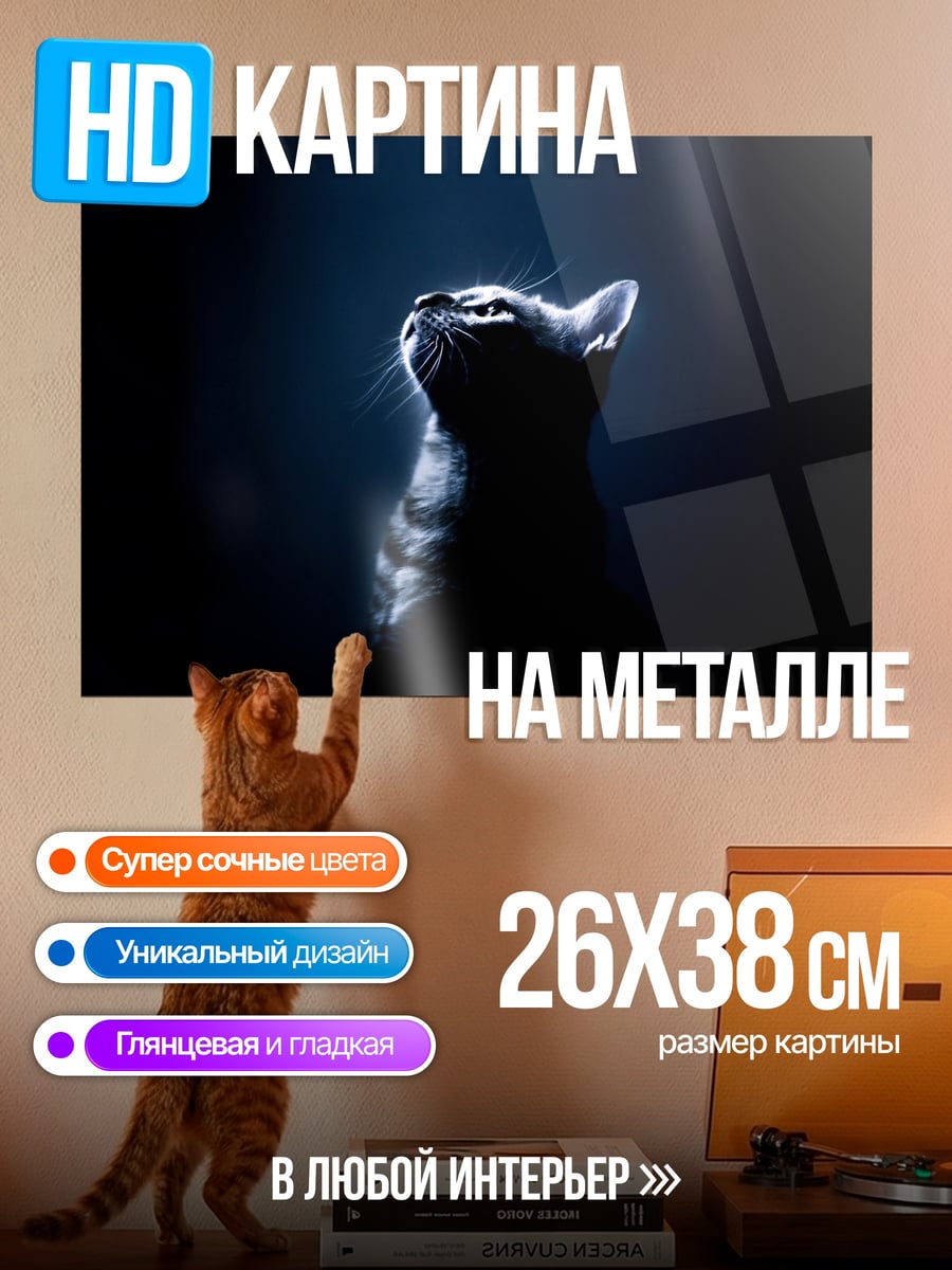 Картина на металле черный кот в темноте