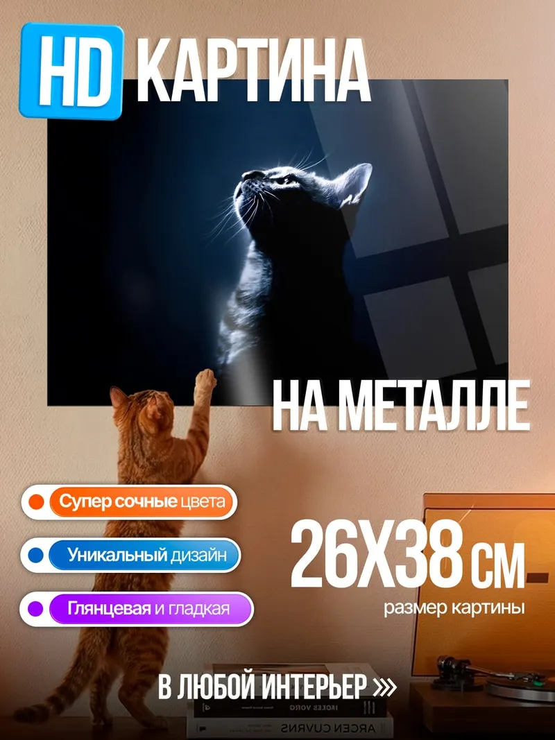 Картина на металле черный кот в темноте