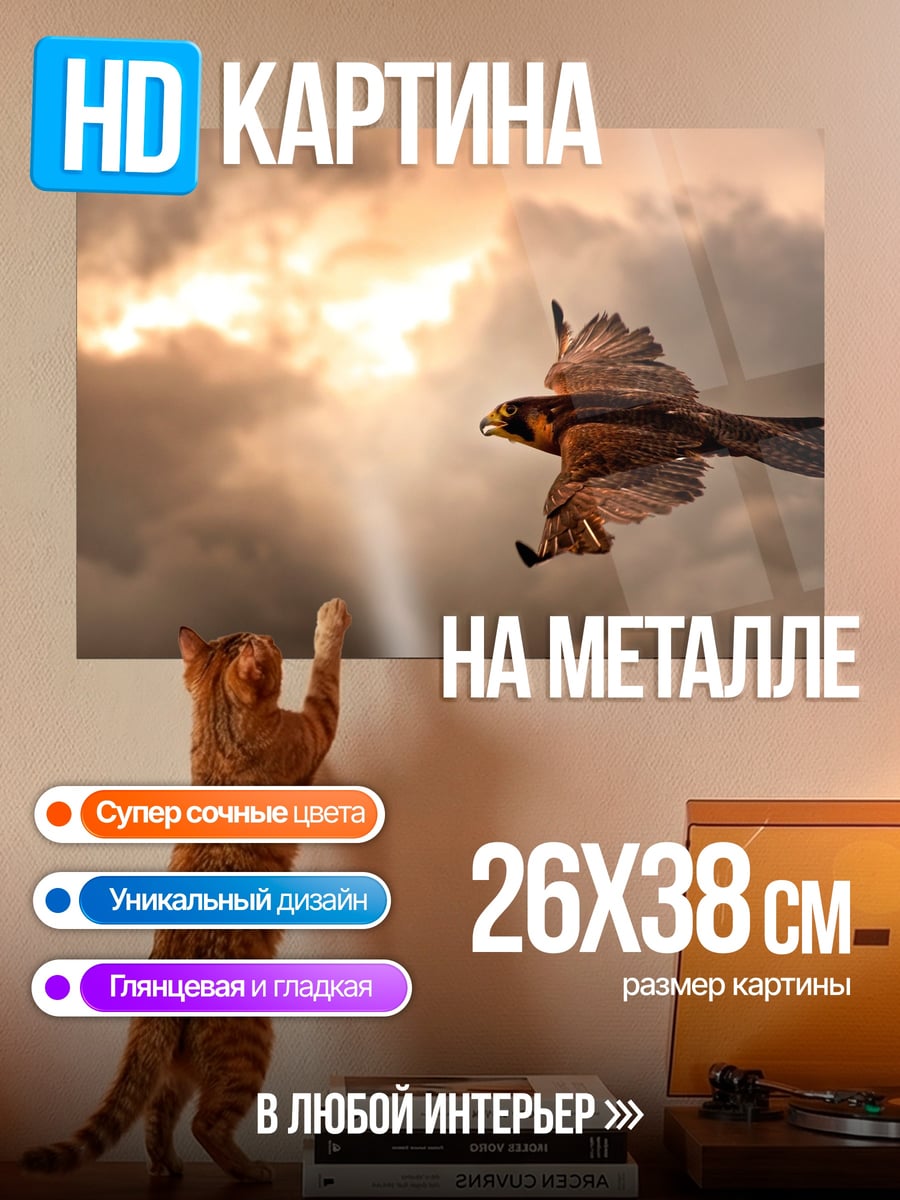 Картина на металле Орел в небе