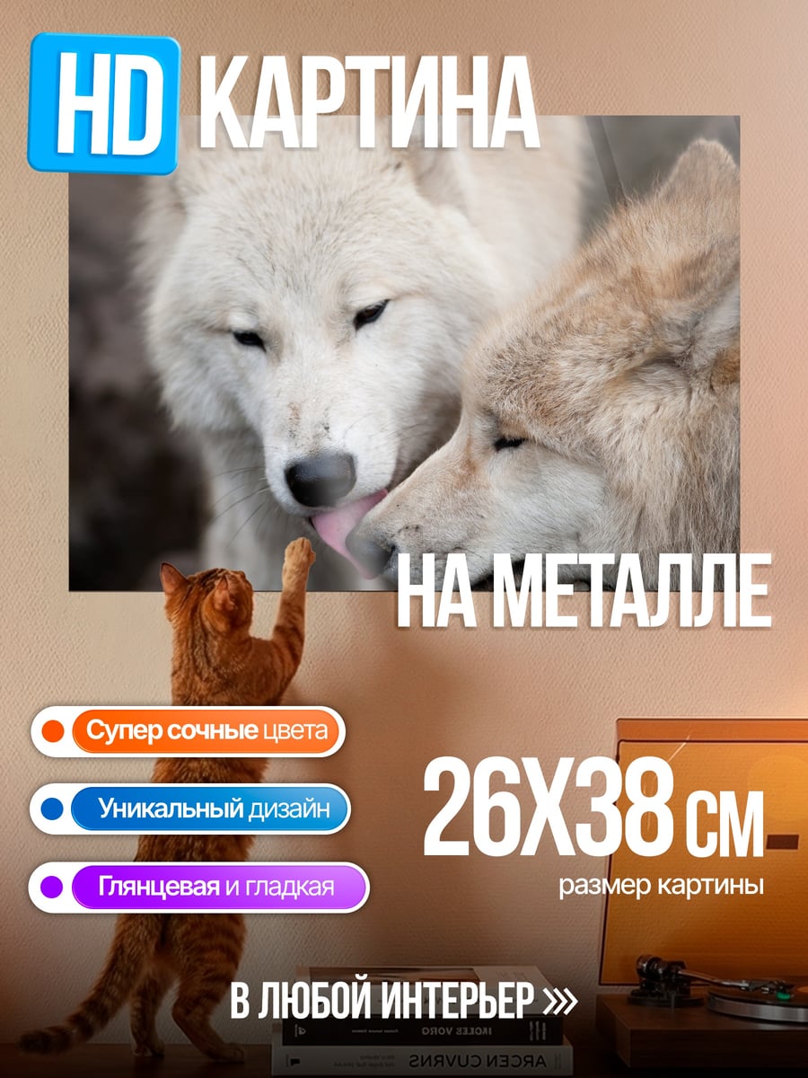 Картина на металле Два волка