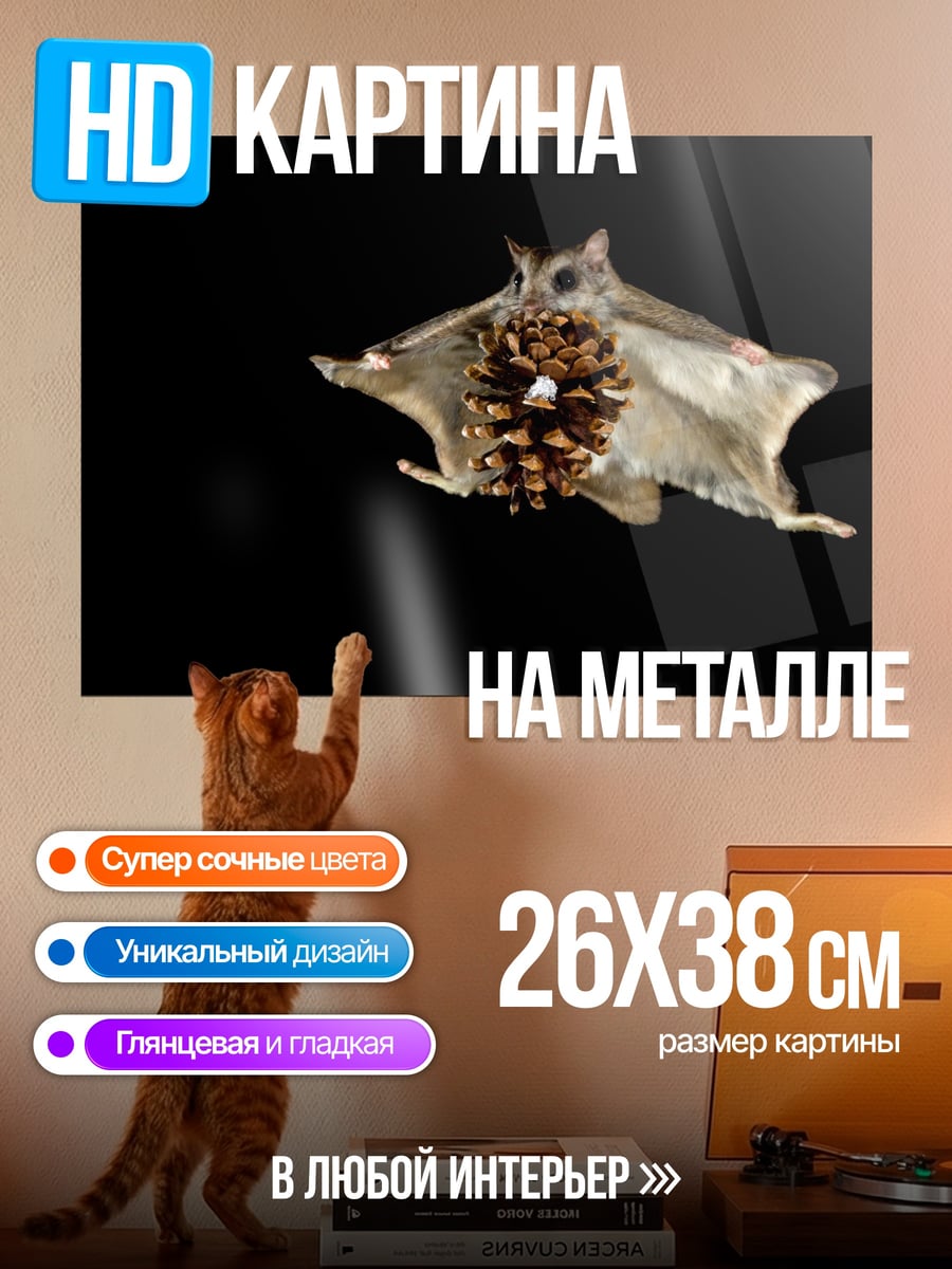 Картина на металле Летающая белка
