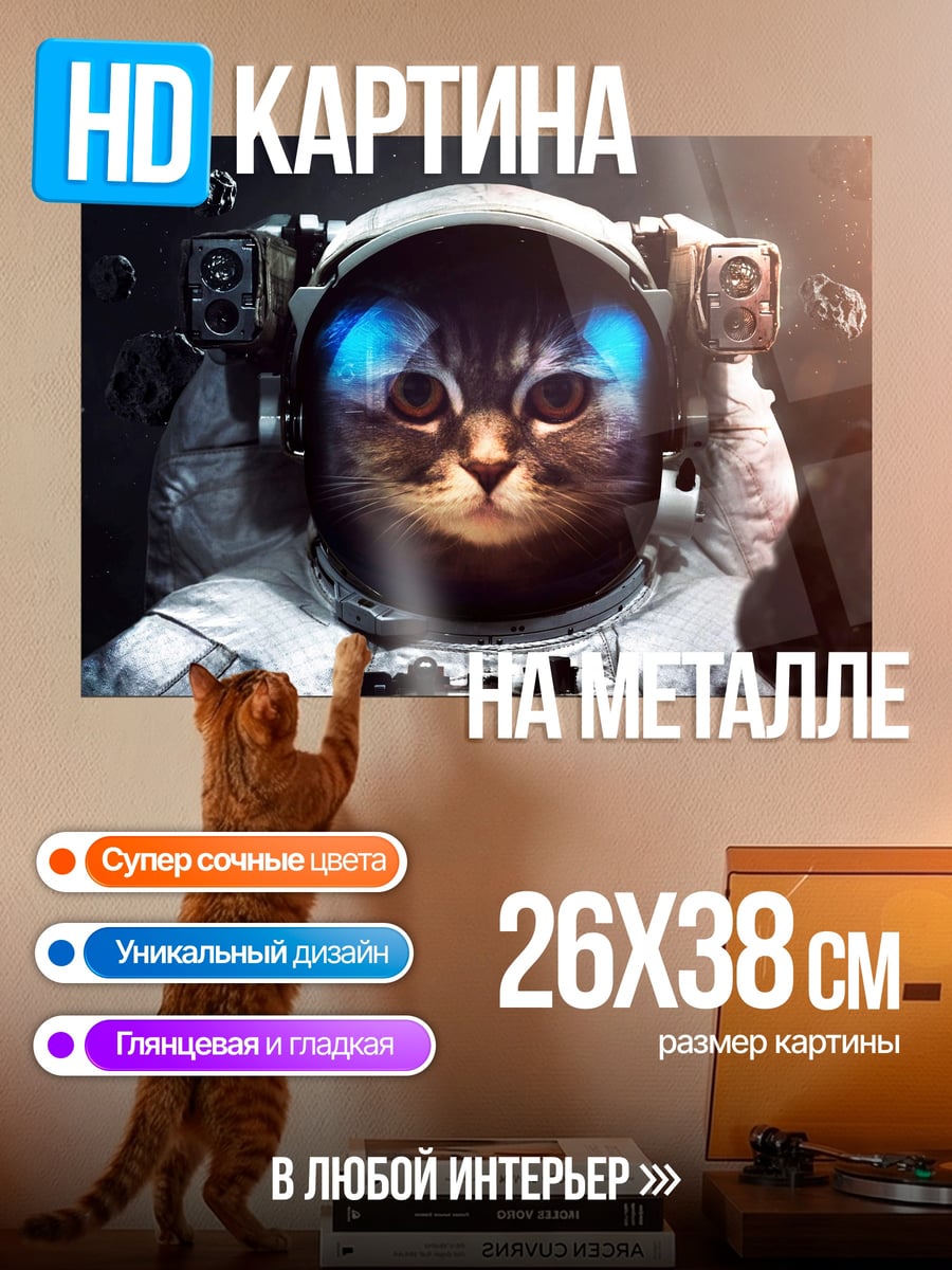 Картина на металле Кот космонавт в шлеме