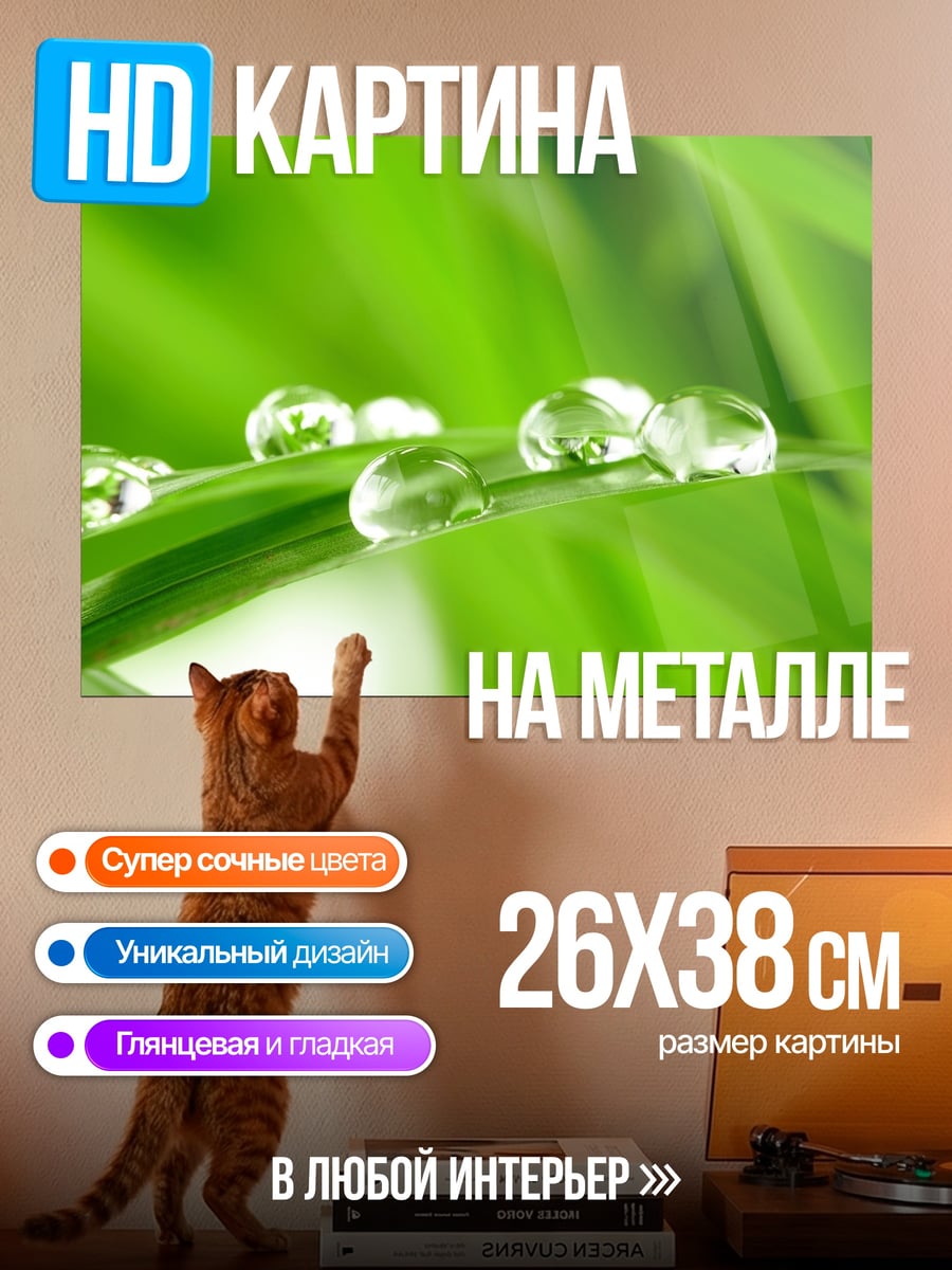 Картина на металле Капли росы на траве
