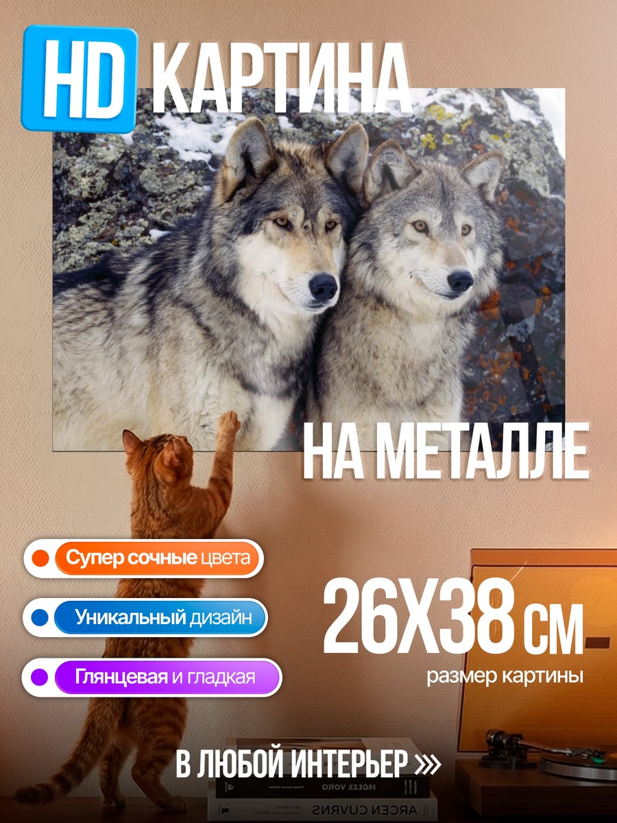 Картина на металле Два волка зимой