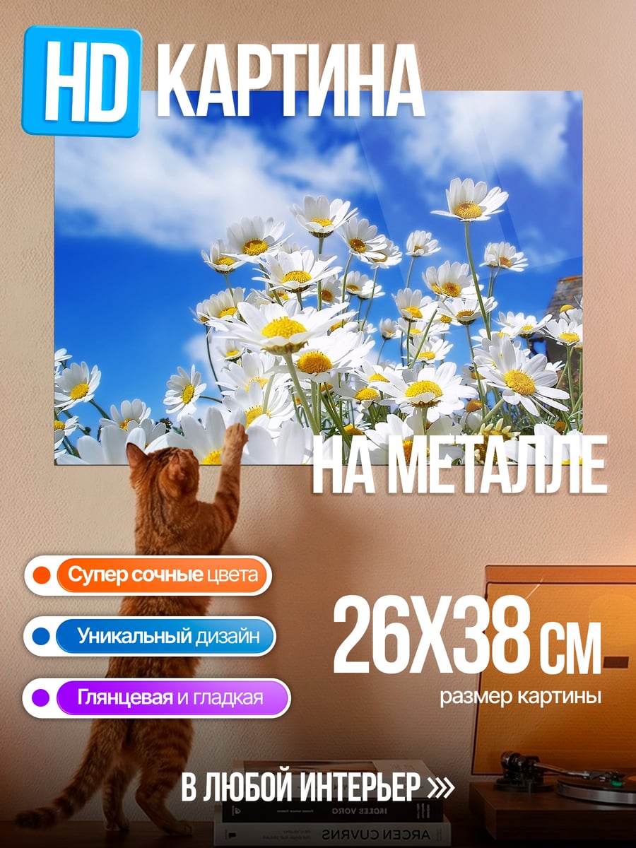 Картина на металле поле ромашек под небом