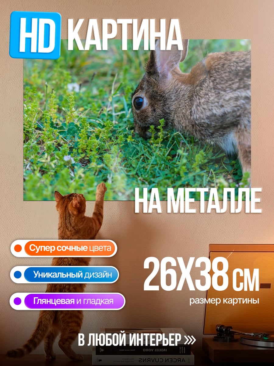 Картина на металле кролик на траве