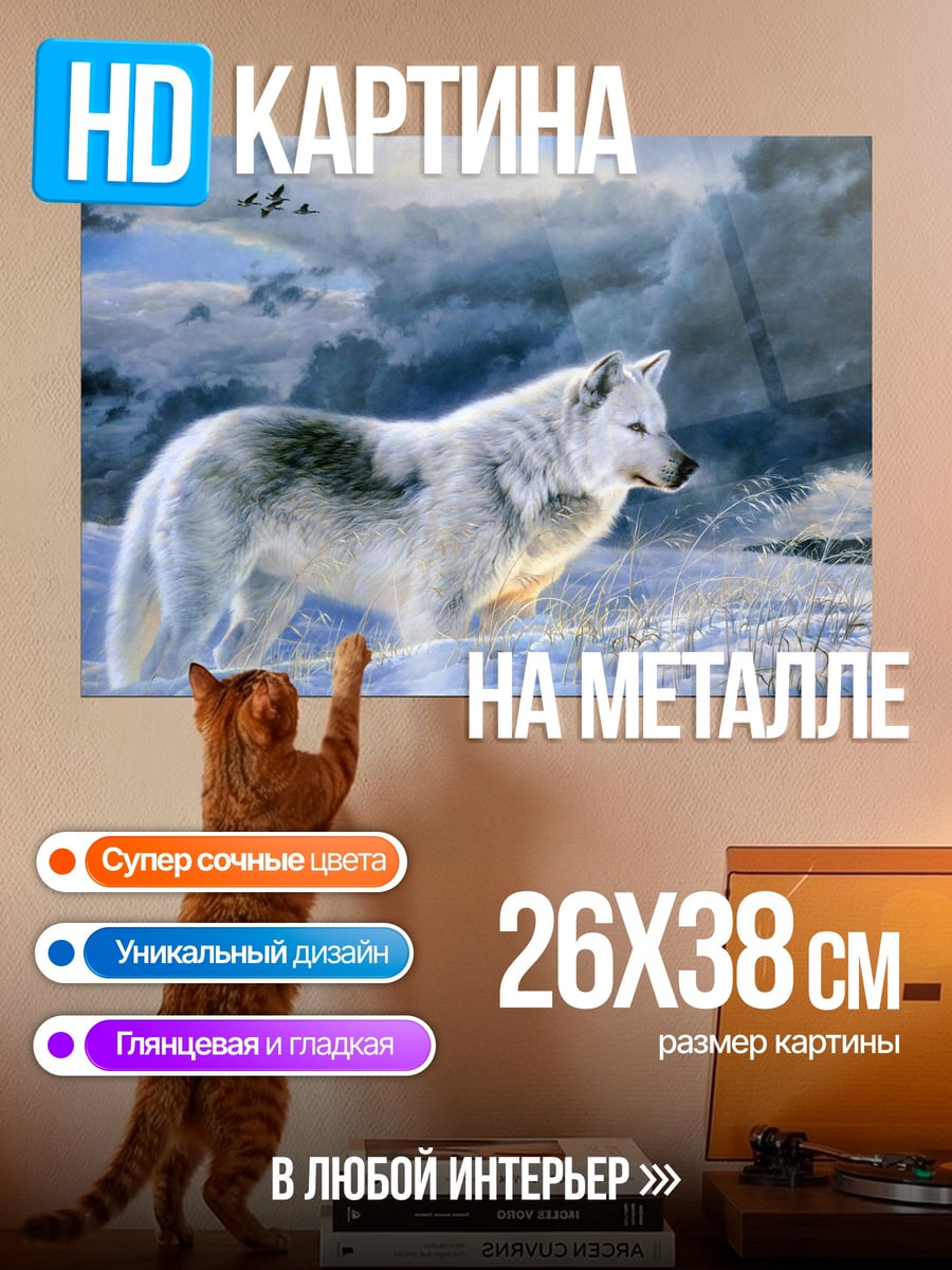 Картина на металле Белый волк