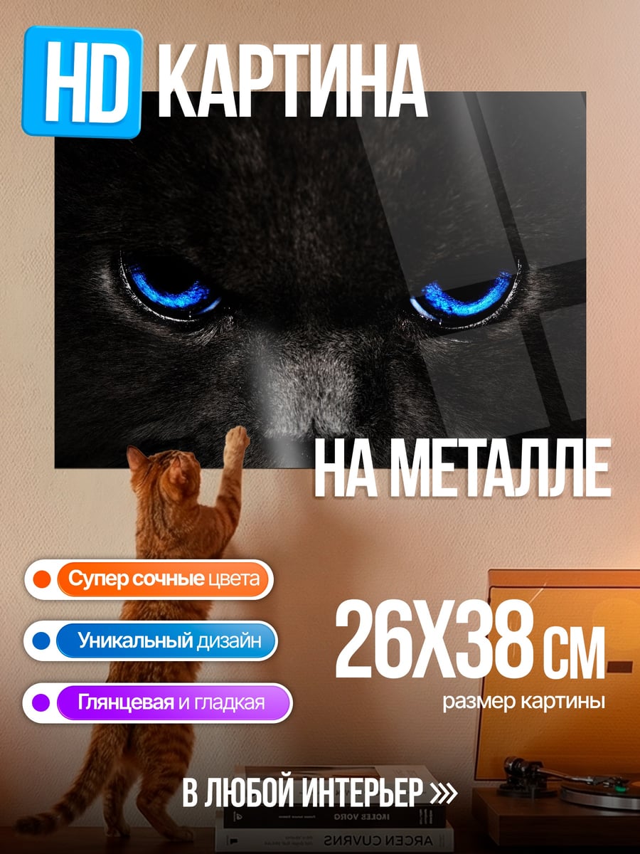 Картина на металле Черный кот