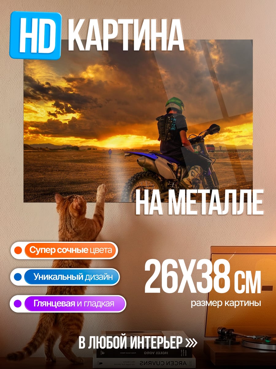 Картина на металле Мотоциклист на закате