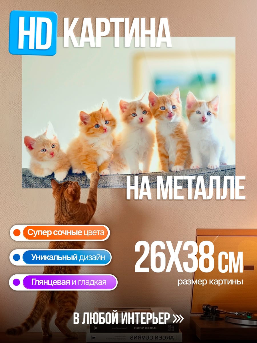 Картина на металле Пять котят на диване