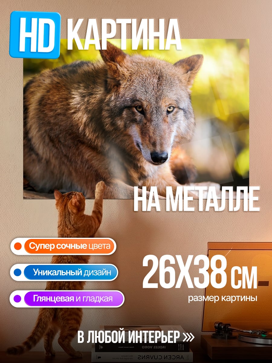 Картина на металле Рыжий волк