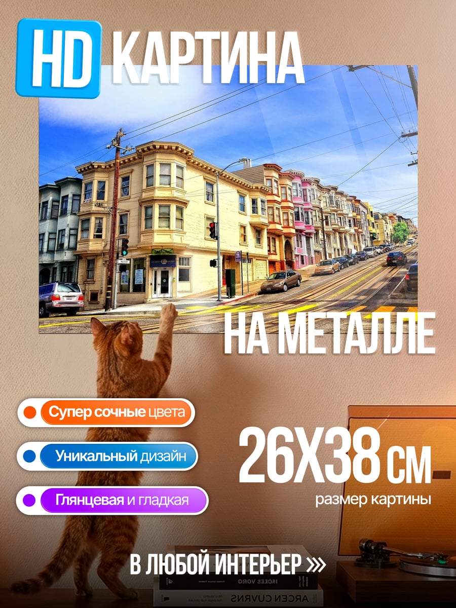 Картина на металле Улица Сан-Франциско