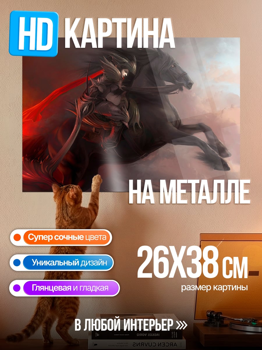 Картина на металле Всадница на черном коне