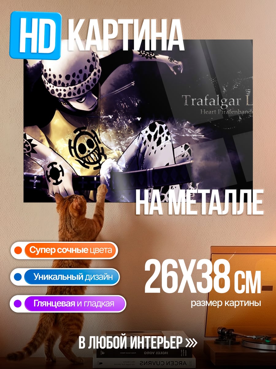Картина на металле Трафальгар Ло Пират