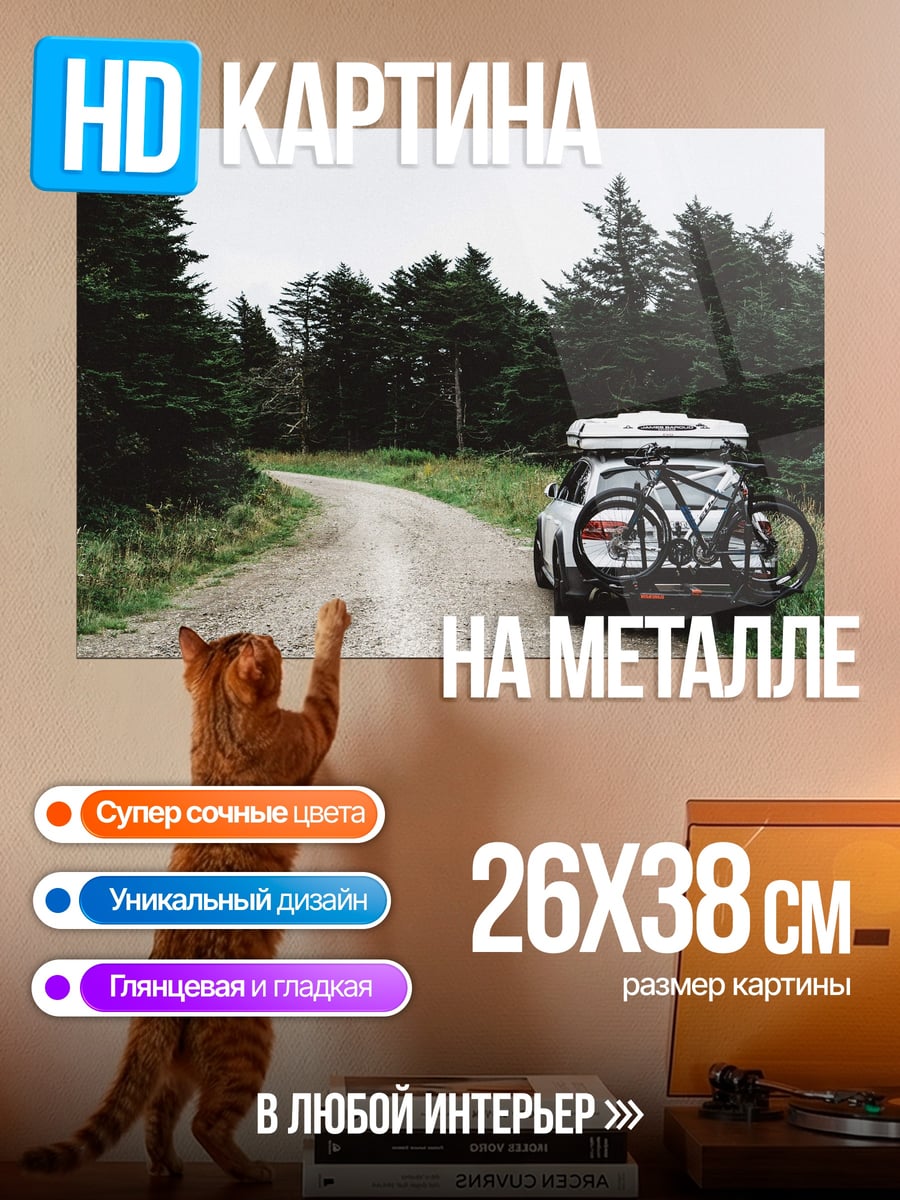 Картина на металле Автомобиль в лесу