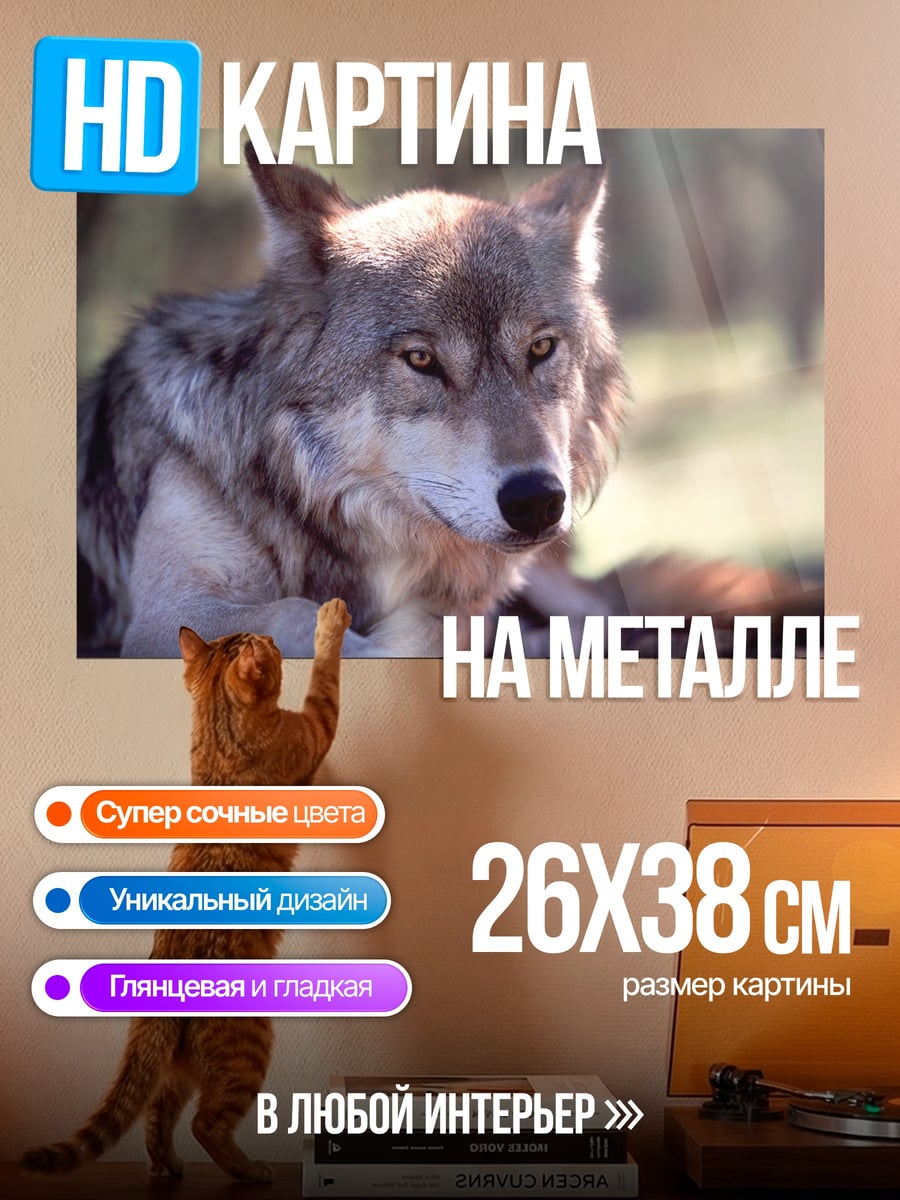 Картина на металле Серьезный волк