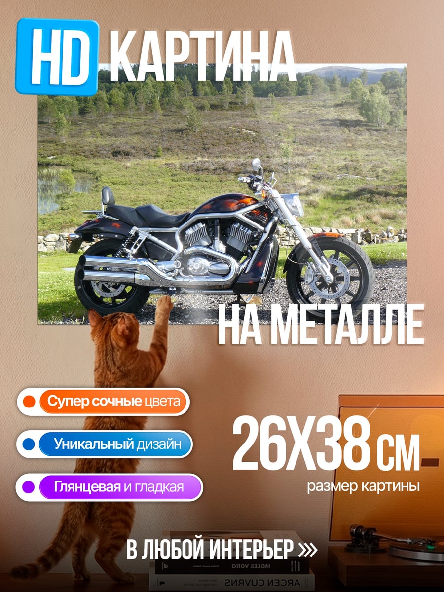 Картина на металле Мотоцикл Harley Davidson