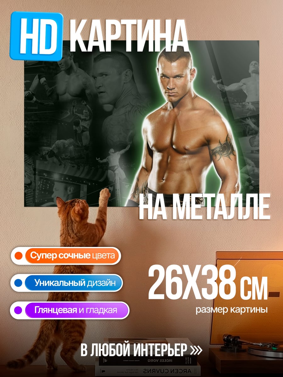 Картина на металле Рэнди Ортон