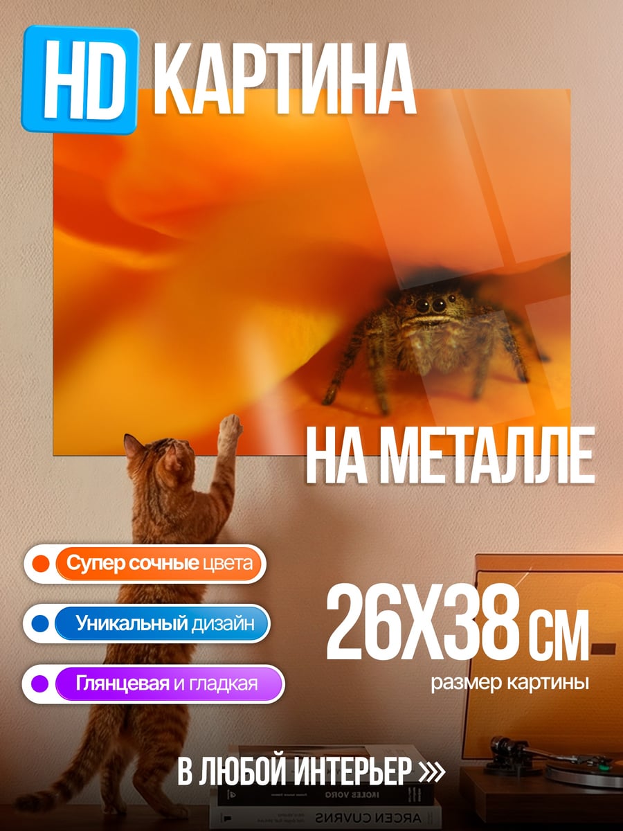 Картина на металле Паук в цветке