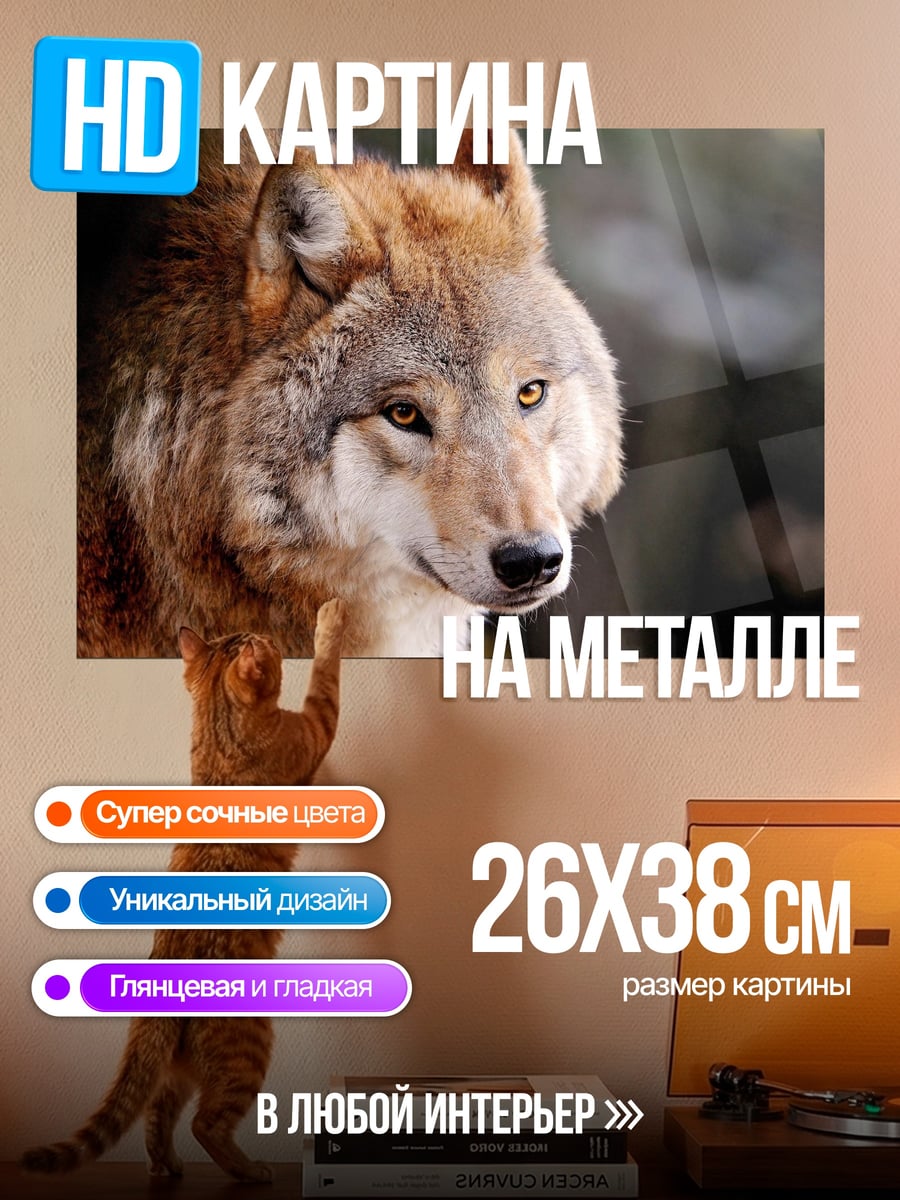 Картина на металле Рыжий волк