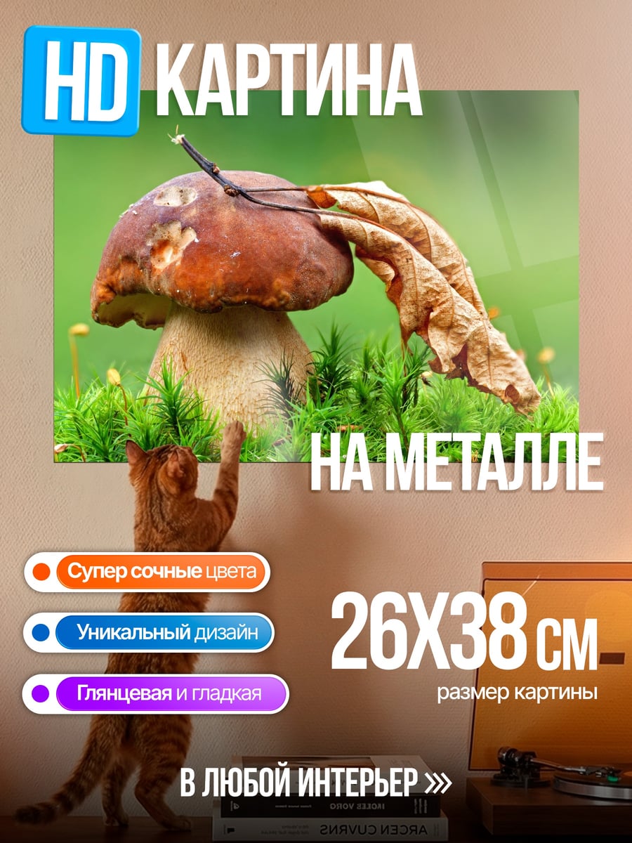 Картина на металле Белый гриб