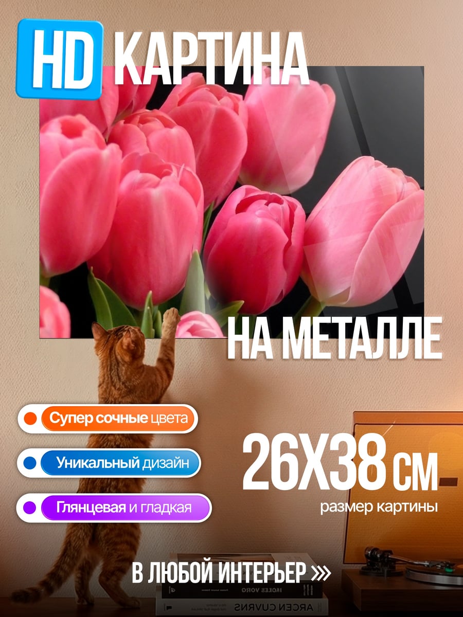 Картина на металле Розовые тюльпаны